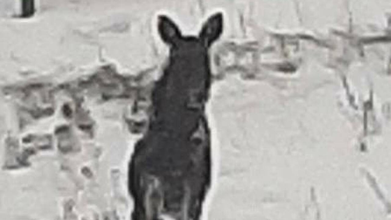 Группа экспертов выехала на место и обнаружила ...