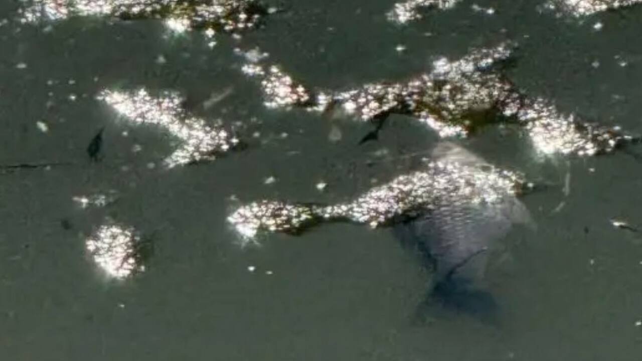 По результатам проверки будут приняты соответст...