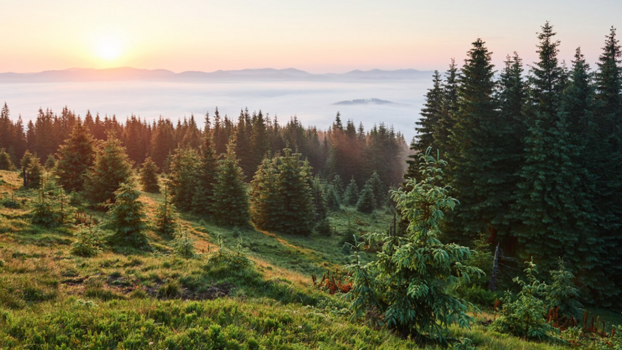 Министерство природных ресурсов и экологии ДНР ...