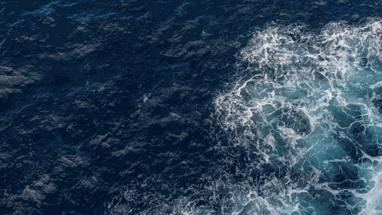 Окаменелости из Китая показали, что кольчатые ч...