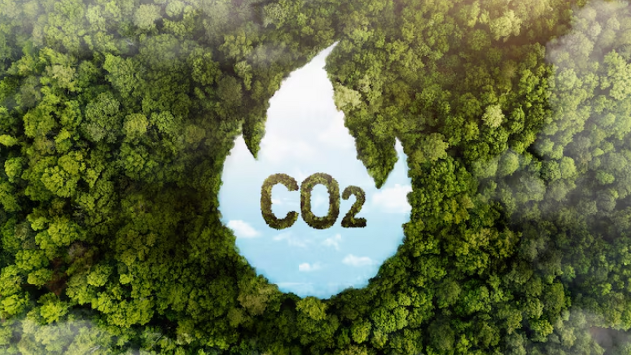 СО РАН предложил способ превращения глицерина в...