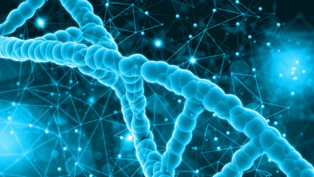 Генетики выявили неизвестную азиатскую линию в ...