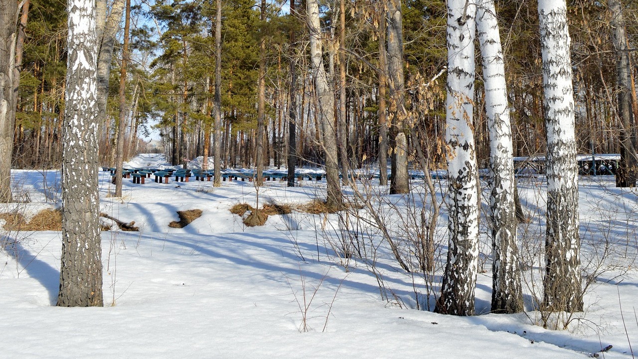 Отрицательные значения температуры возможны тол...