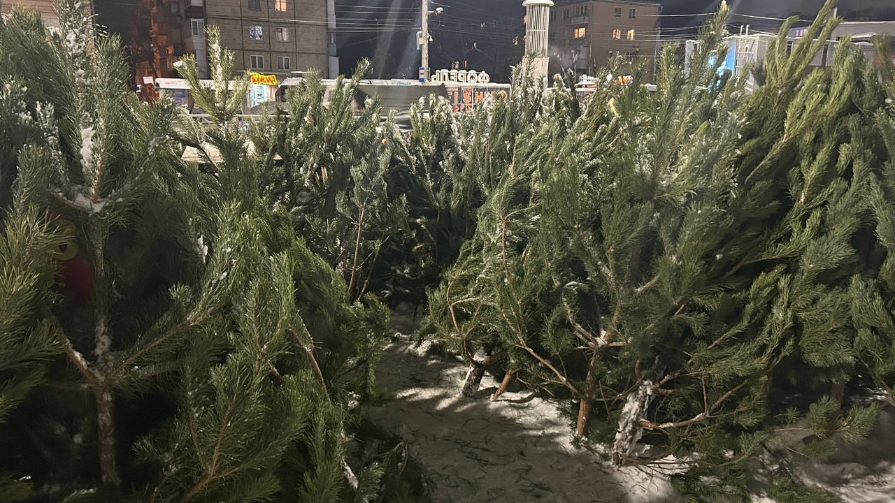 Россельхознадзор проводит масштабные проверки н...