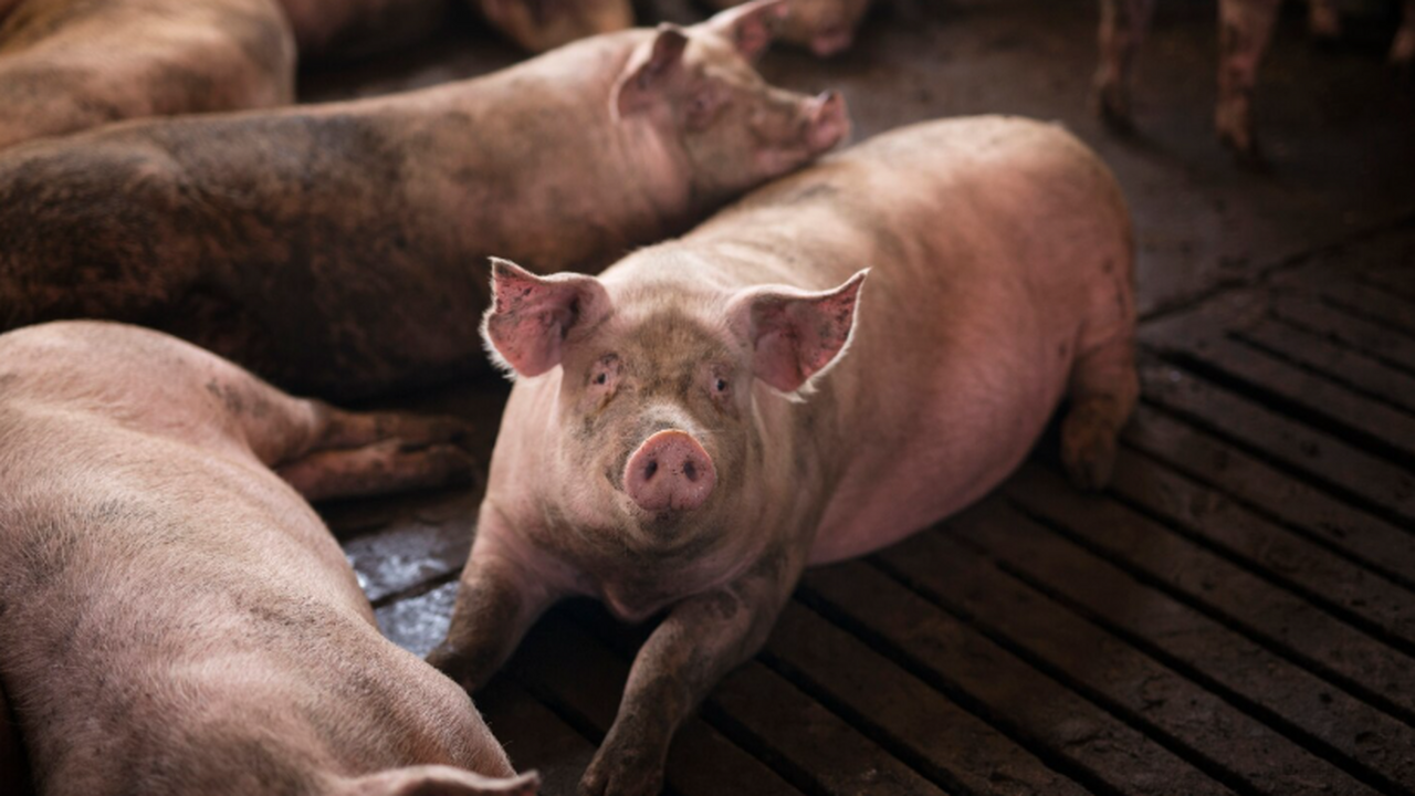 Эксперт Сергей Готье рассказал, что к 2030 году...