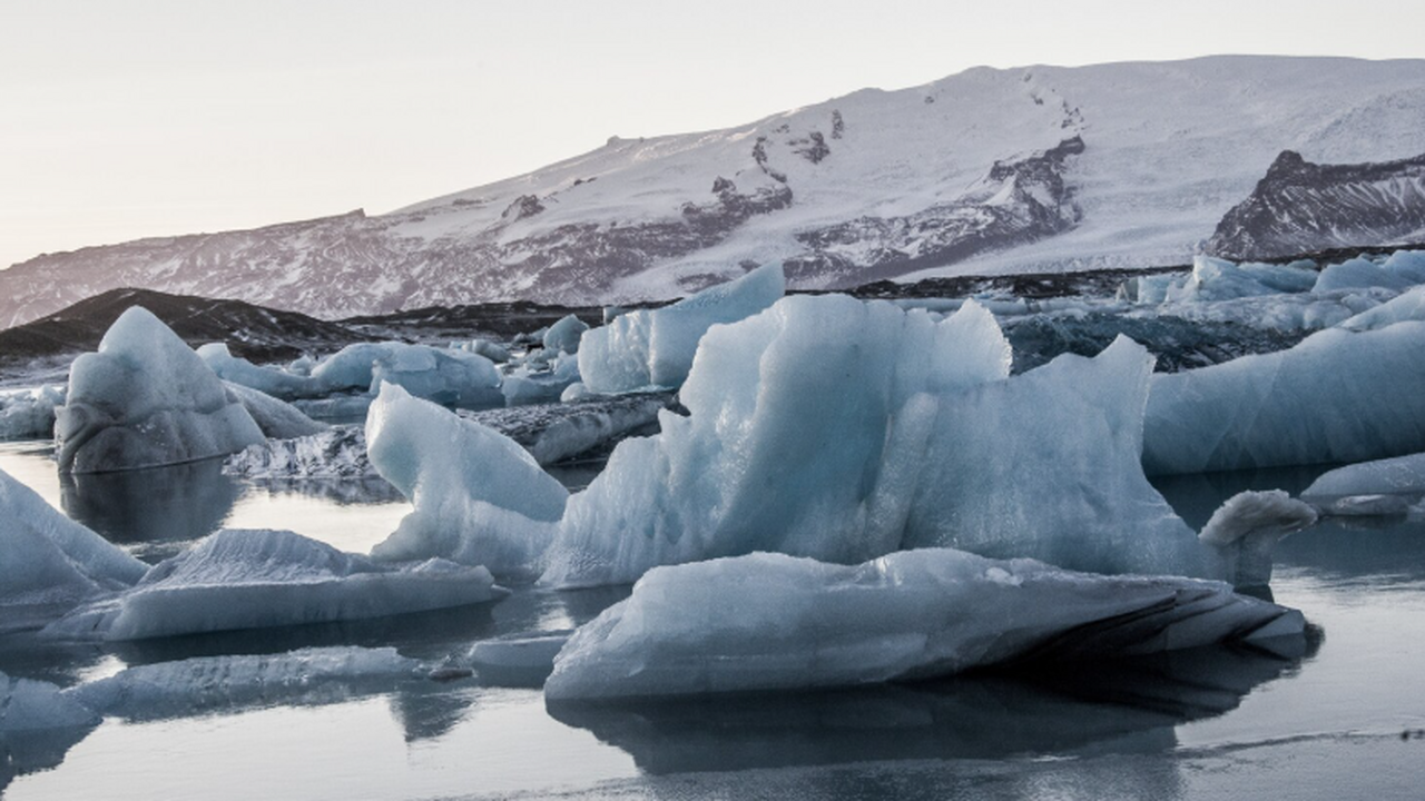 Российские ученые составят каталог растений-"ре...