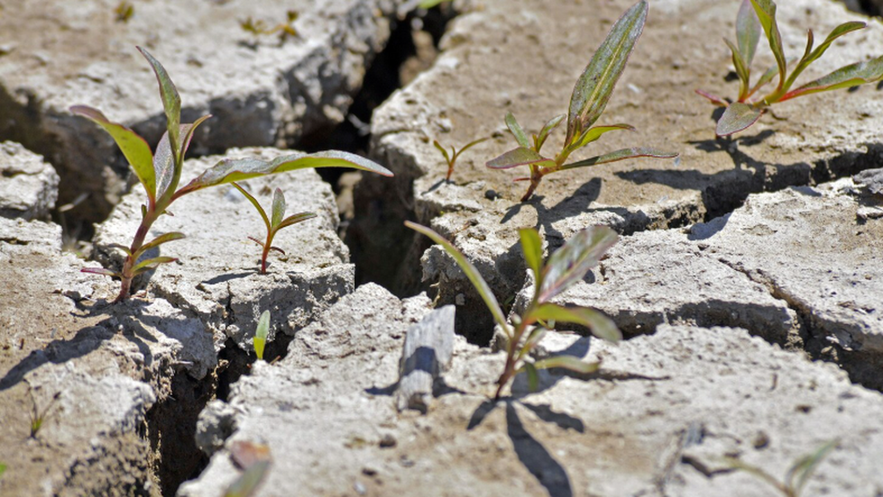 Суэцкий рифт всё ещё активен и может быть опаснее, чем считалось Учёные пришли к выводу о продолжающемся рифтоге...