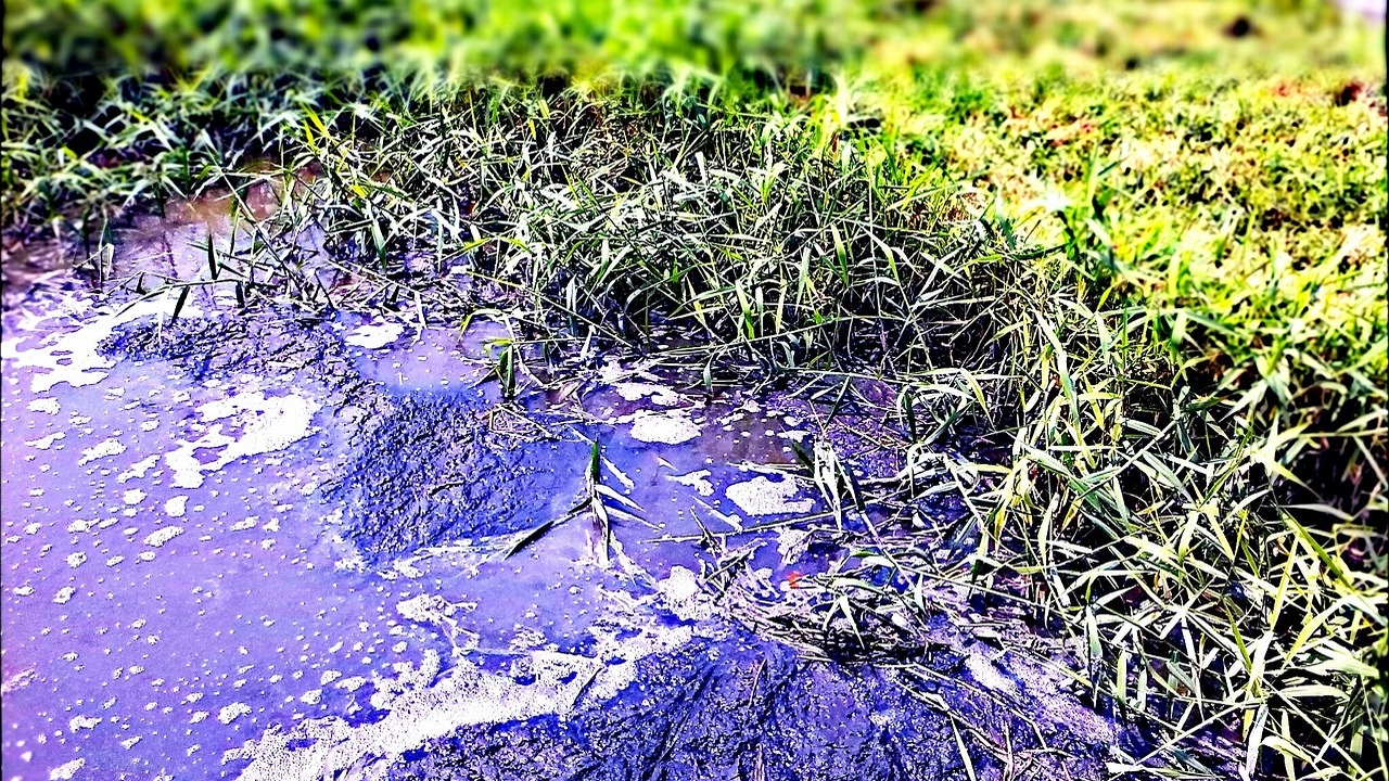 Самарские Мазутные озера заблокированы из-за скопления токсичных отходов На озёрах хранится около 750 тысяч тонн опасных...