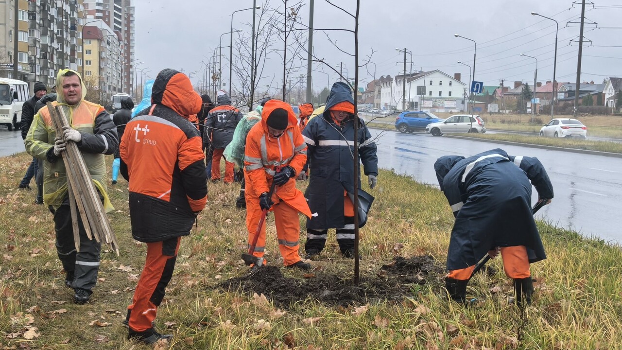 Энергетики «Т Плюс» высадили липы в Автозаводском районе Тольятти Энергетики «Т Плюс» высадили липы в Автозаводск...