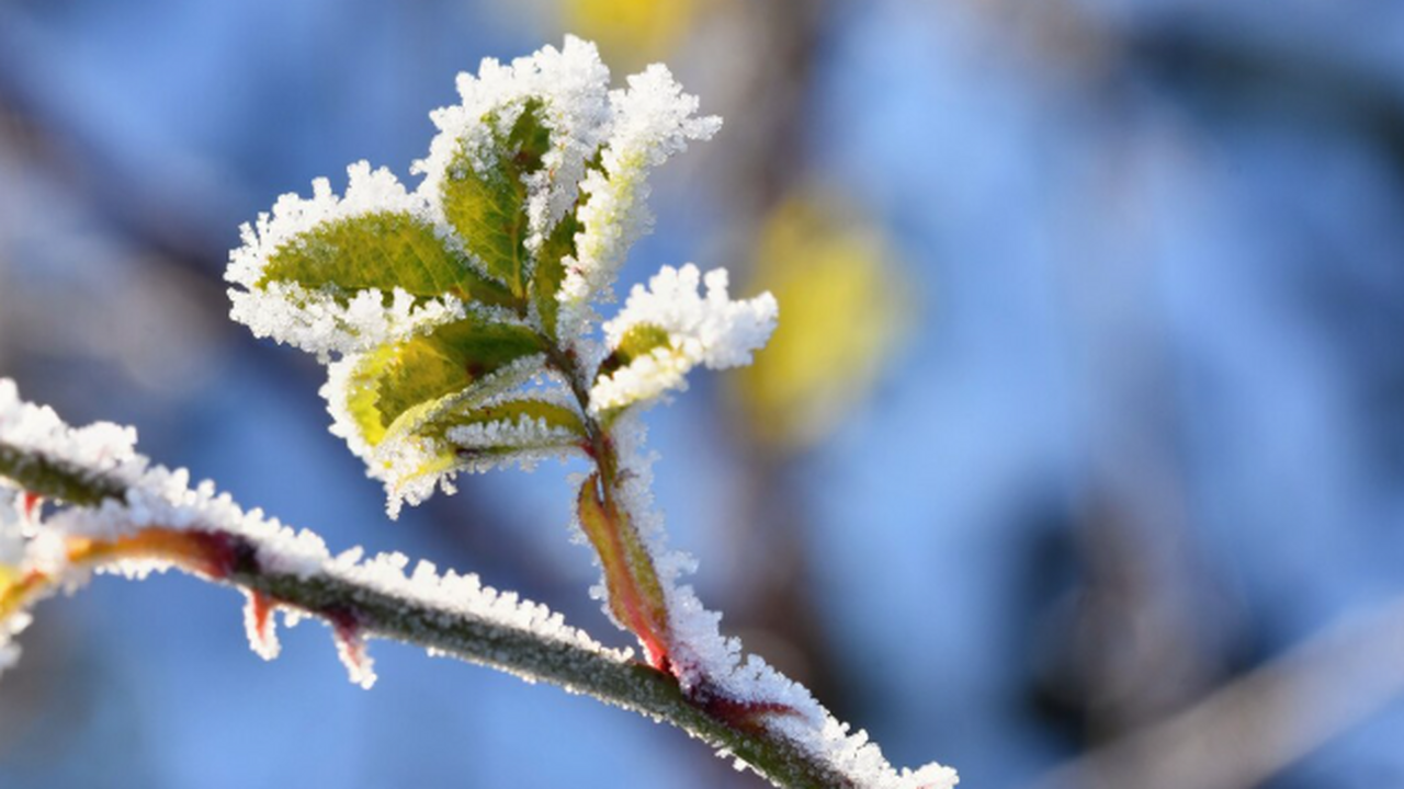 Начнется 2 декабря и не закончится всю неделю: синоптики резко изменили прогноз - придется подготовиться Со 2 декабря Россию накроет неделя экстремально...