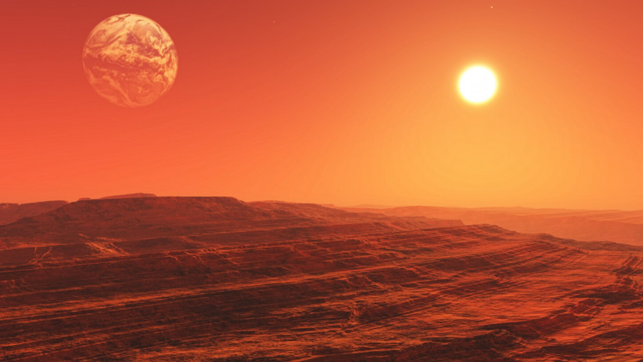 Эксперимент с тихоходками показал, что водораст...