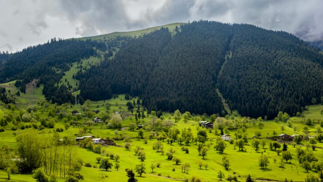 Даже с навязчивым обслуживанием Абхазия стала п...