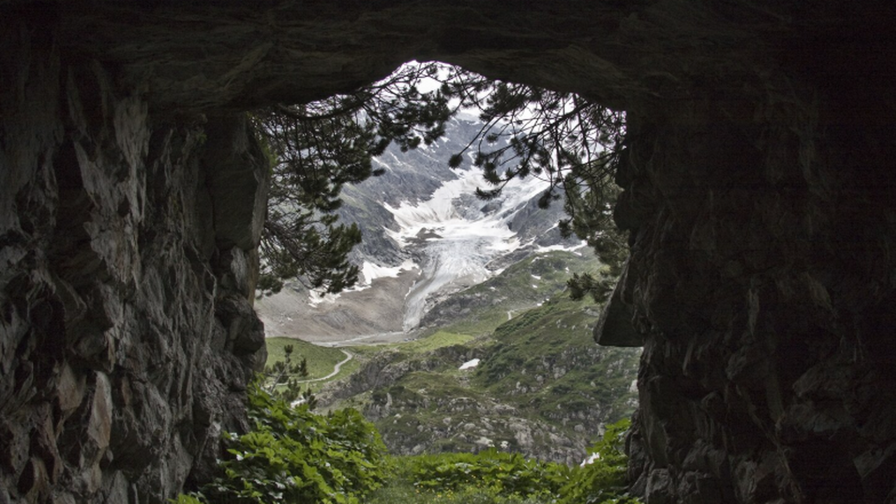 Учёные в PNAS обнаружили родство между неандерт...