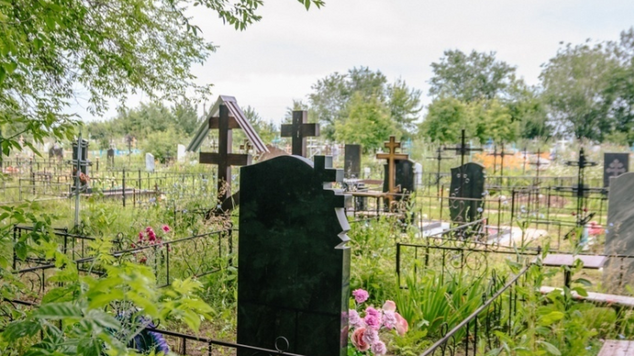 Не будет частью территории. В Самаре пройдут неожиданные земные изменения Из границ Самарского лесничества планируют искл...
