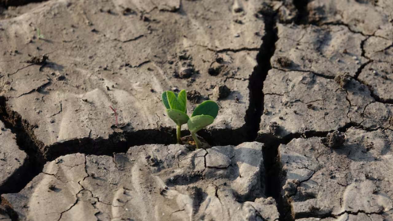 Исследование показало, что подледный океан Энце...