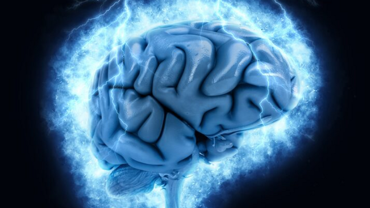 Учёные из России создали метод диагностики шизо...