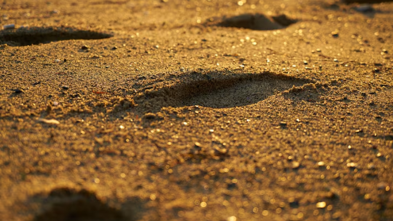 Следы древних людей возрастом 10–100 тыс. лет нашли в Аравийской пустыне Новые данные о заселении Аравийского полуостров...