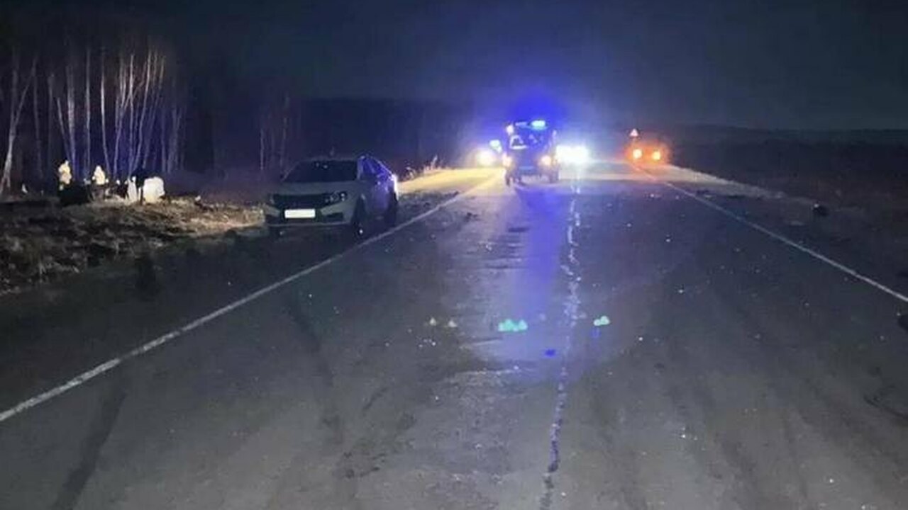 ВАЗ-21124 столкнулся с лошадью, находившейся на...