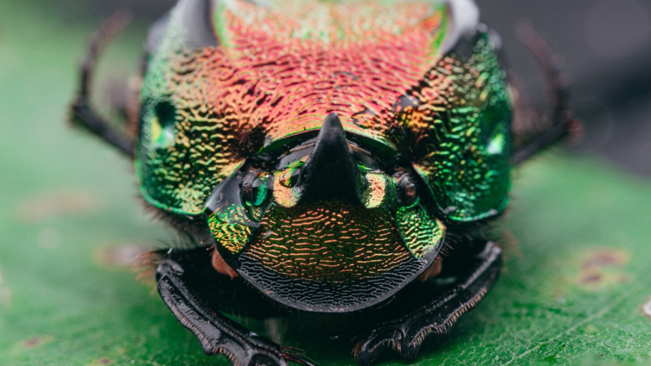 Исследование показало, что темпы описания новых...