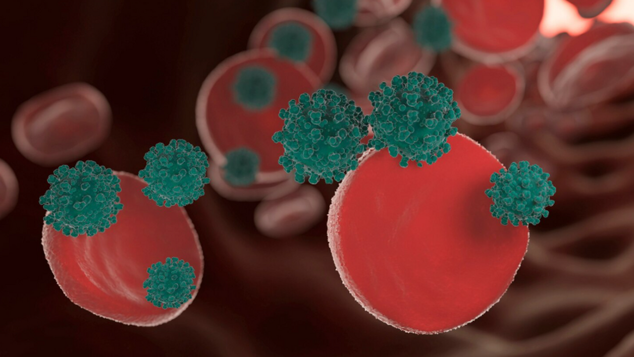 Русские ученые научились вычислять самые опасные метастатические клетки Российские исследователи предложили новый спосо...