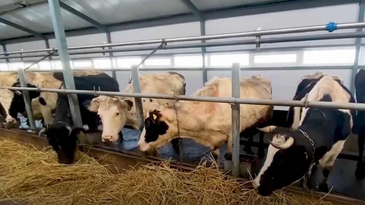 Проект реализован при помощи гранта для семейны...