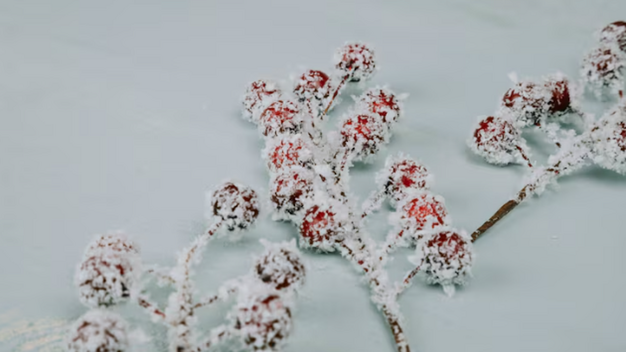 Погода в ноябре 2025 в России: будет ли зима и ...