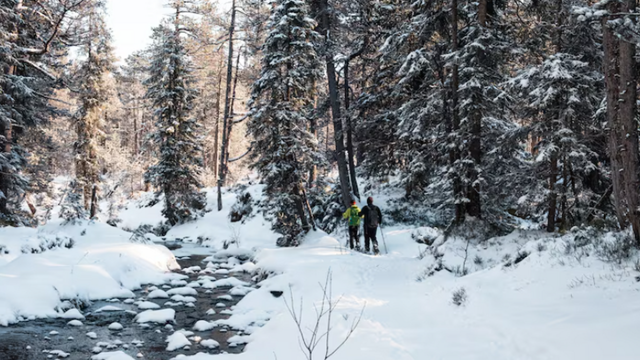 Семья Усольцевых пропала 28 сентября в районе с...