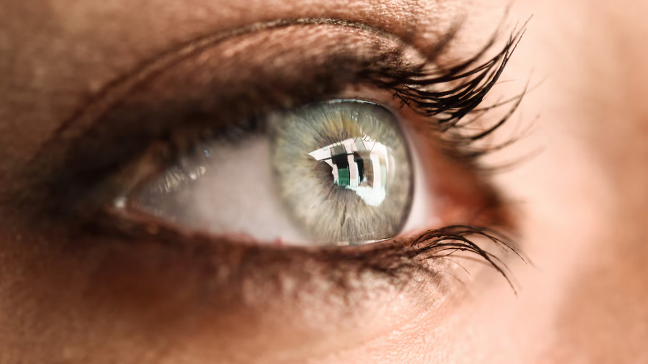 Ученые сообщили о связи сосудистого рисунка сет...