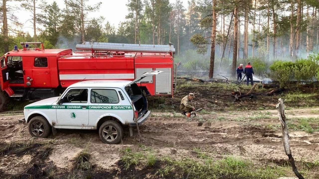 Пожар был потушен силами подразделений лесоохра...