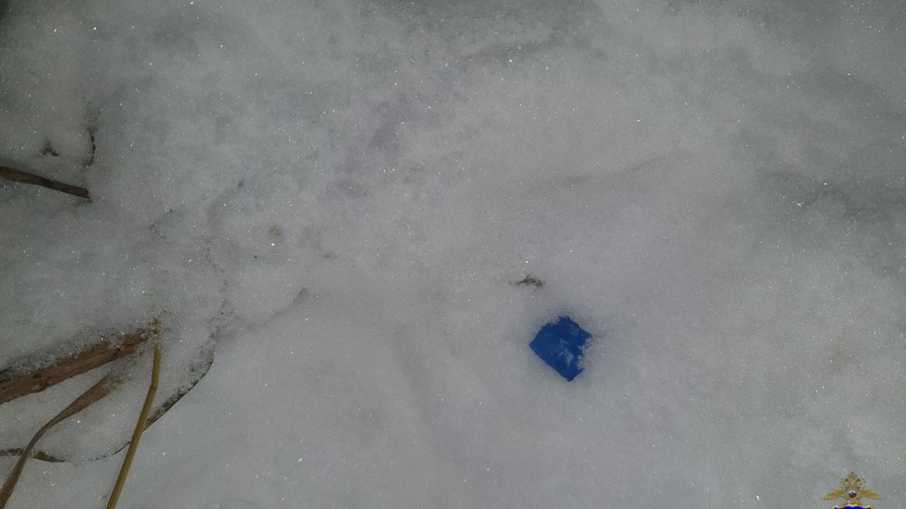 Молодых сожителей задержали в Жигулёвске за покушение на сбыт наркотиков Правоохранители устанавливают возможных соучаст...