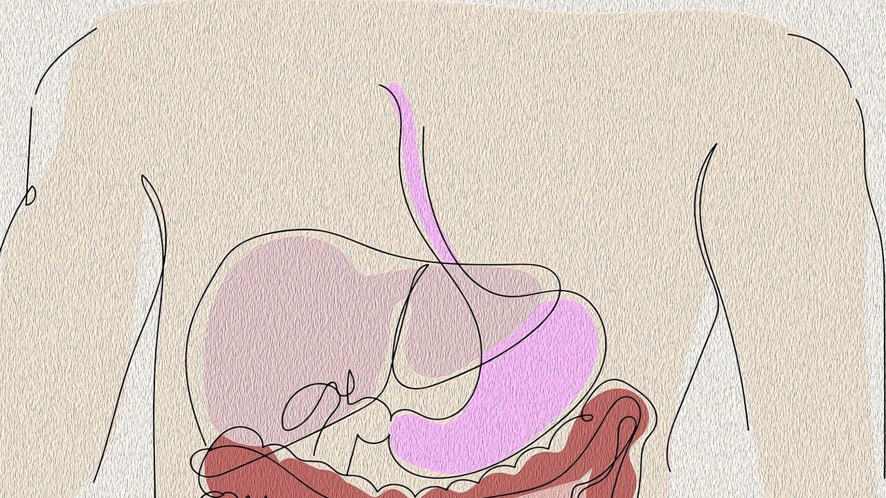 FGF21 воздействует на нейронные цепи, связанные...