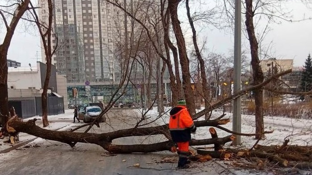 В Самаре устраняли последствия урагана на улицах Стара-Загора и Полевой Всего коммунальщики расчистили шесть улиц облас...
