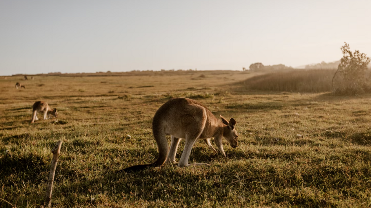 Новое генетическое исследование уточнило время ...