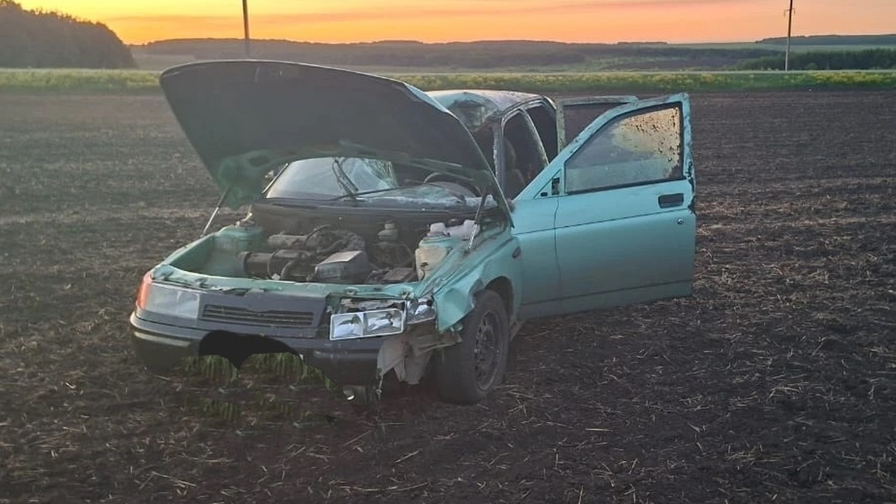 В Самарской области автомобиль столкнулся с лосем на трассе ночью Авария произошла на трассе Похвистнево — Клявлино