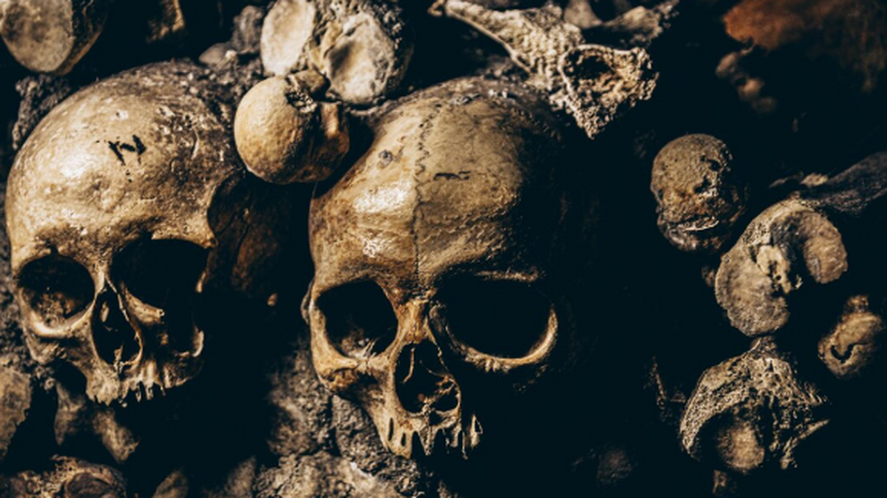 Прошли опыты: студенты-медики XIX века оставили кости в колодце Ричмонда Исследователи проанализировали человеческие ост...