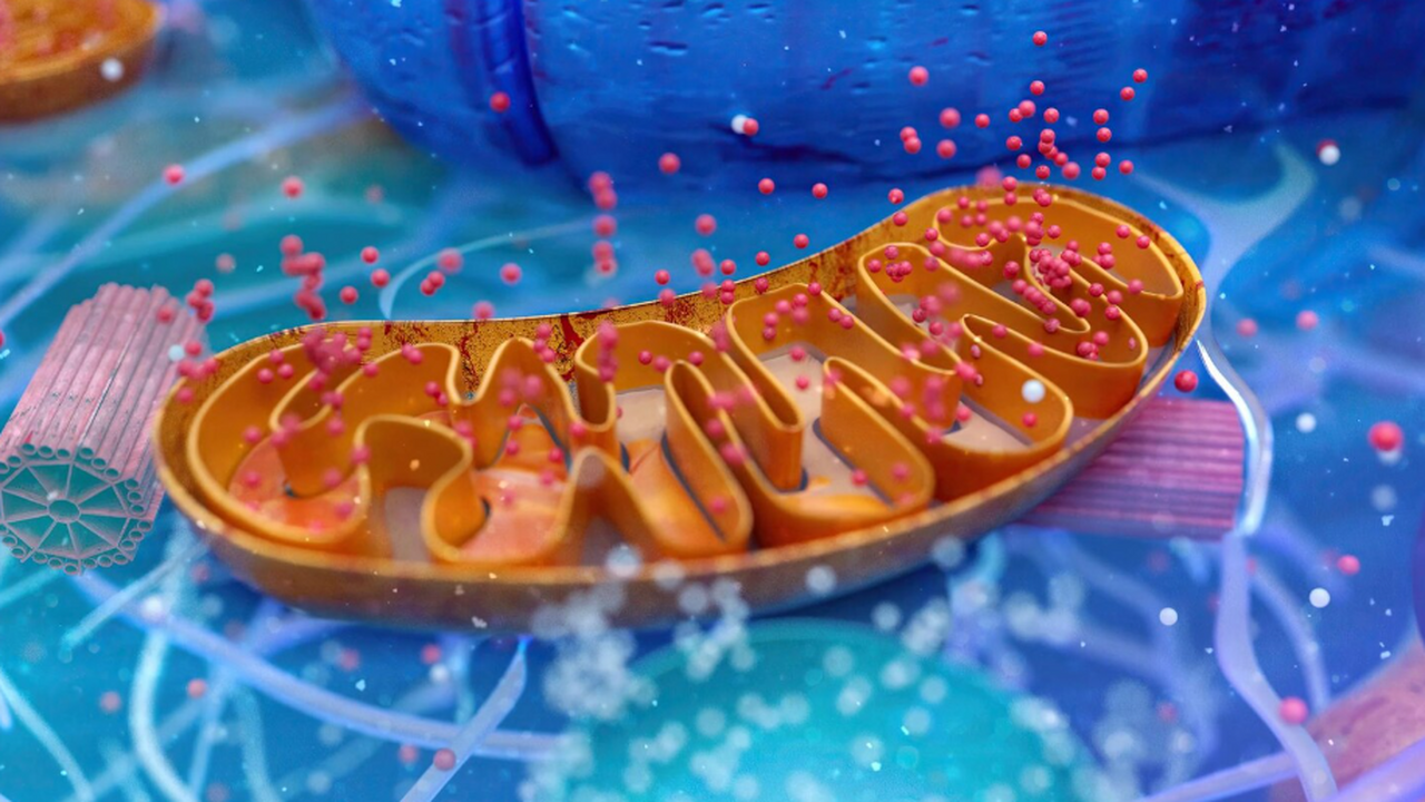 Исследование показало, что физическая активност...