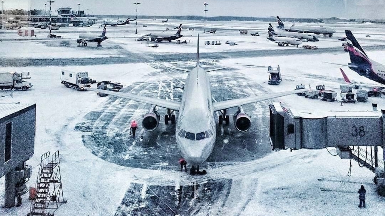 О нарушениях можно сообщить по телефону +7 (910...