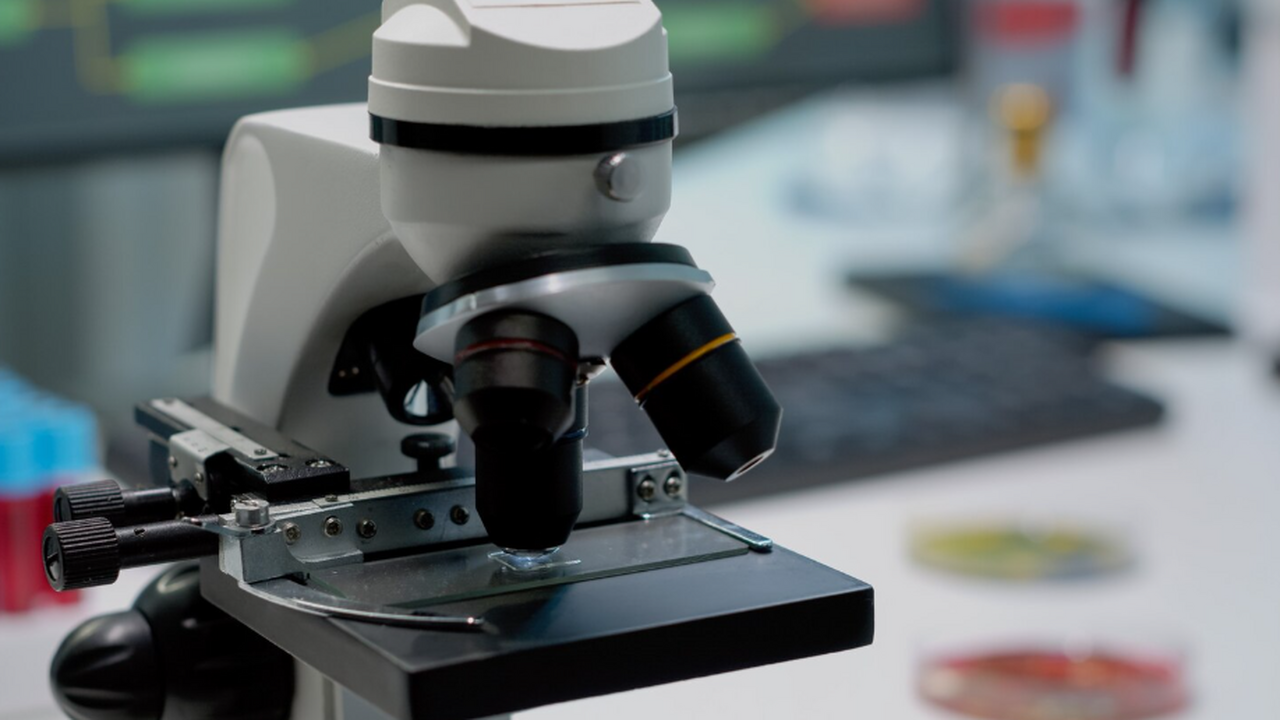 В Nature Microbiology описан белок ESB2 у Trypa...