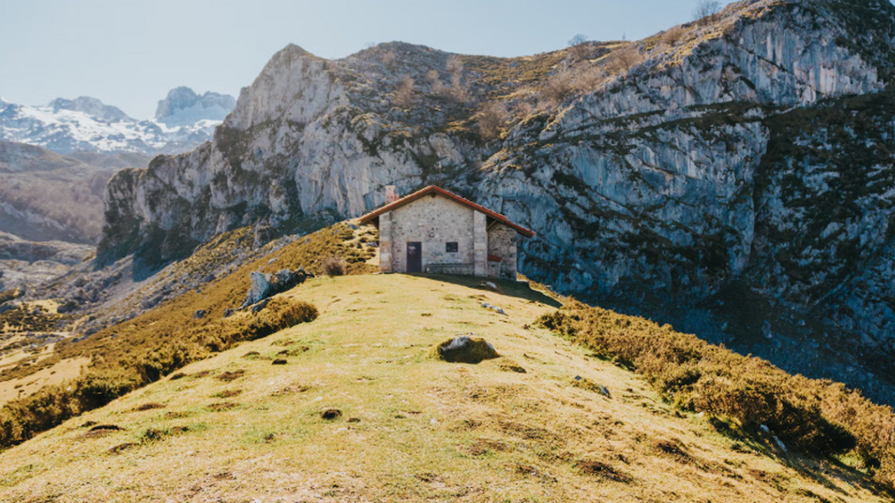 Условия высокогорья активируют эритроциты, кото...