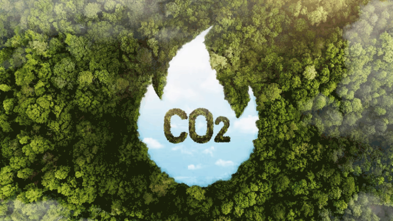 Экстремальная жара и засухи превращают болота в...