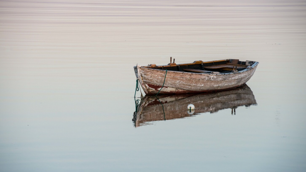 Сотрудники Самарской межрайонной природоохранно...