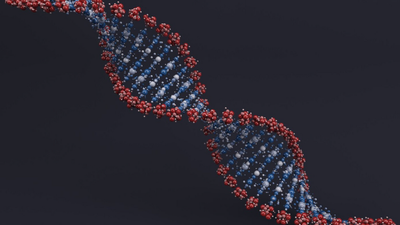 Учёные обнаружили, что мутация гена Retsat усил...