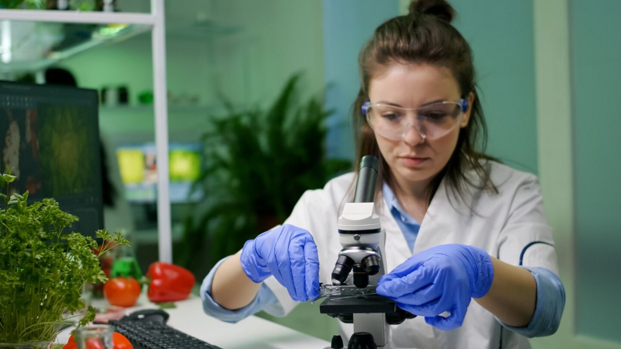 В РФ разработан запатентованный способ защиты растений с меньшими пестицидами Постоянное применение пестицидов приводит к фор...