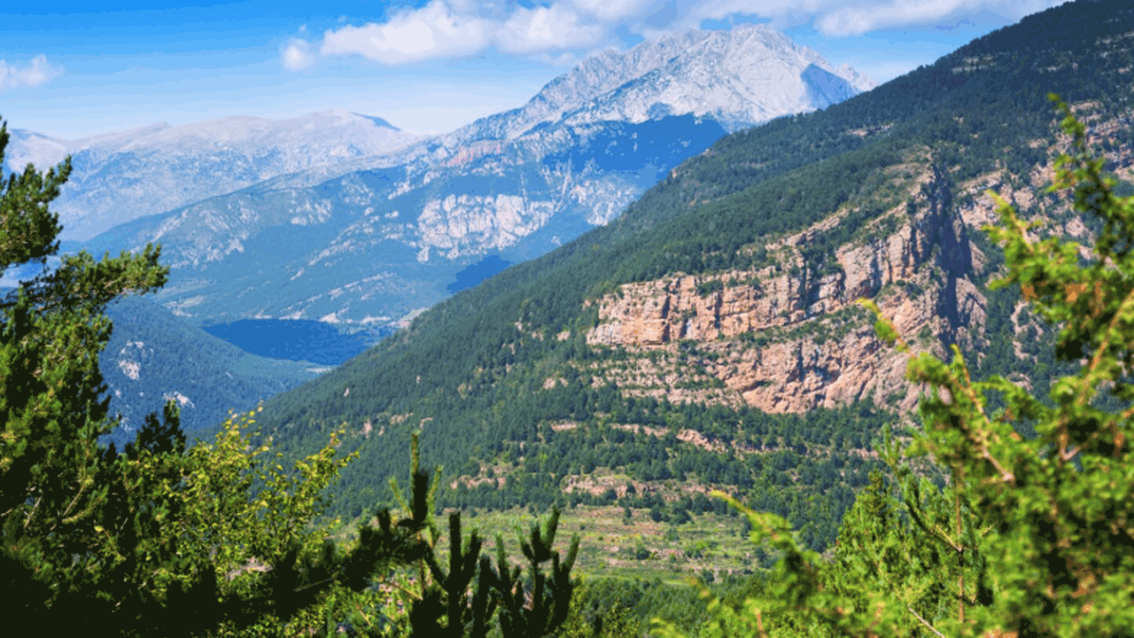 Туристы из России остались недовольны сервисом ...