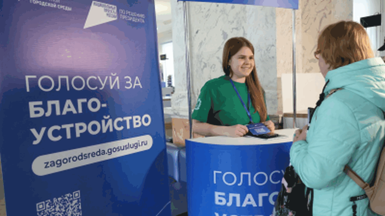 Рейтинговое голосование проходит в рамках прогр...
