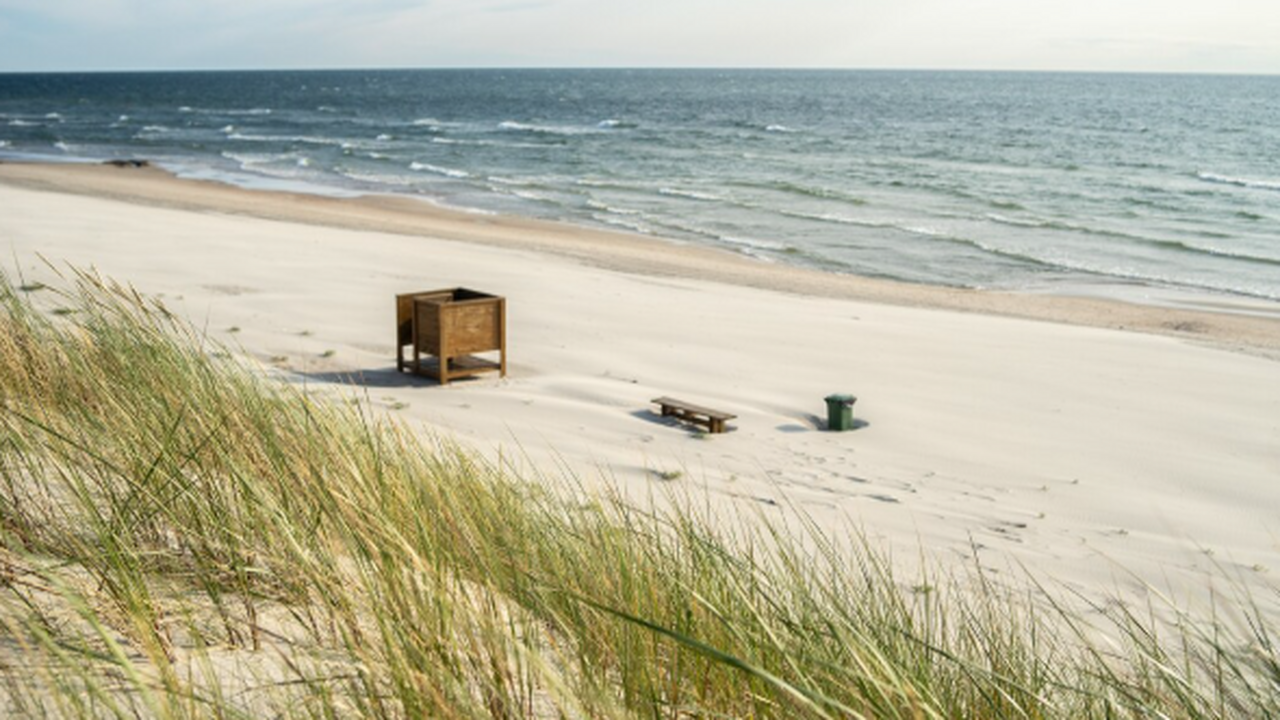 Власти Краснодарского края оценили перспективы ...