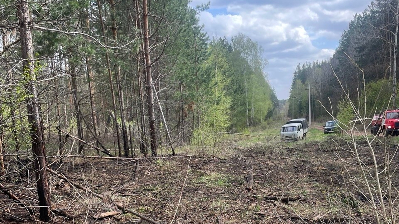 Пожарным удалось предотвратить распространение ...