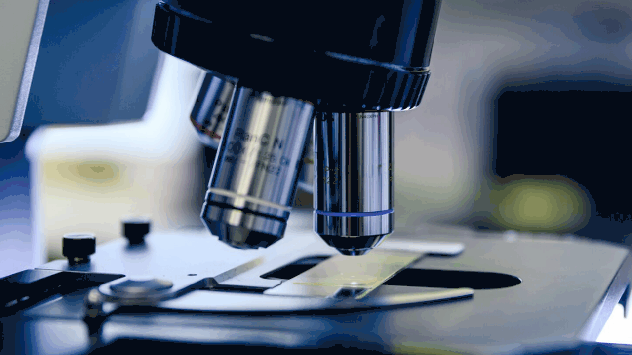 Разработан тест, который одновременно выявляет ...