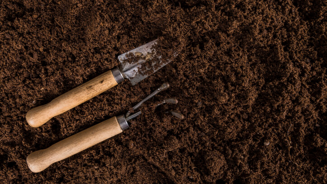 Ученые выявили, что промежуточная молекула на п...