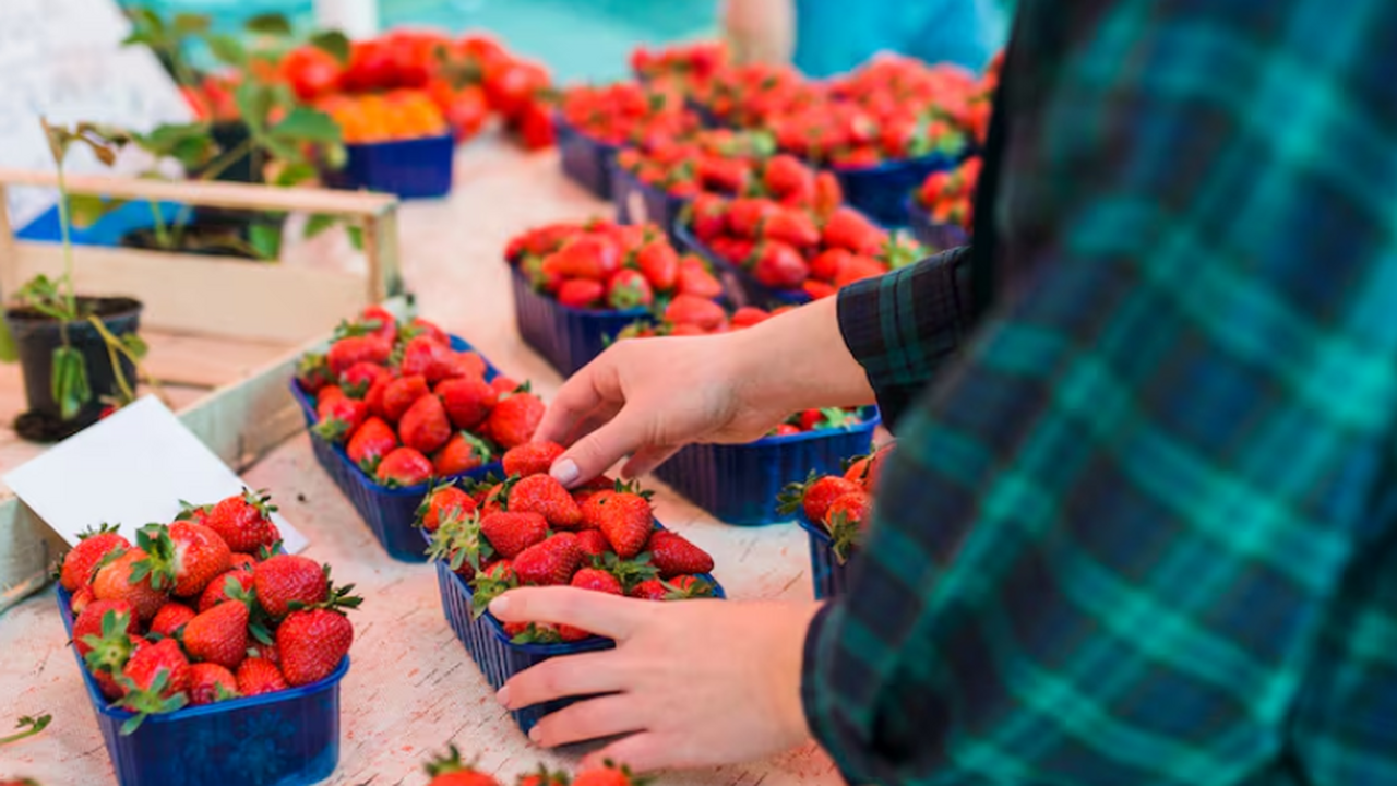 Гастроэнтеролог и аллерголог рассказали о возмо...